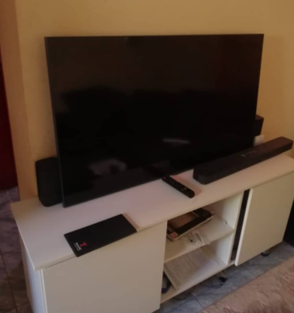 Television